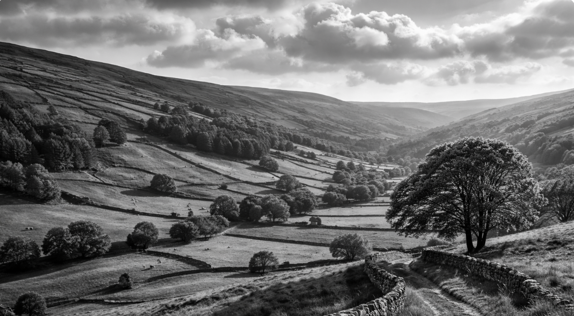 Vous n’avez pas oublié votre formation en anglais. Elle n’a juste jamais accroché.